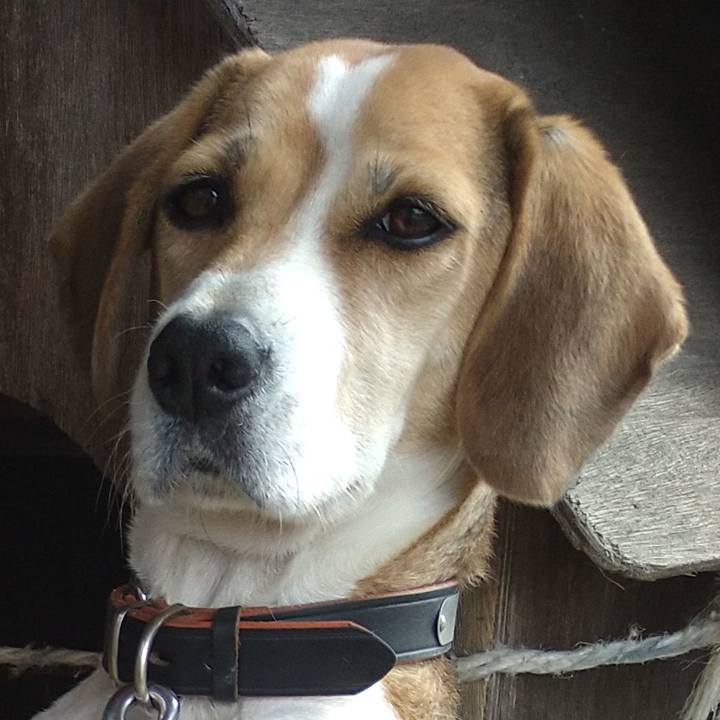 1aafefdf d908 4e6c 960a 0d63bbfdf9cf 1637811001749