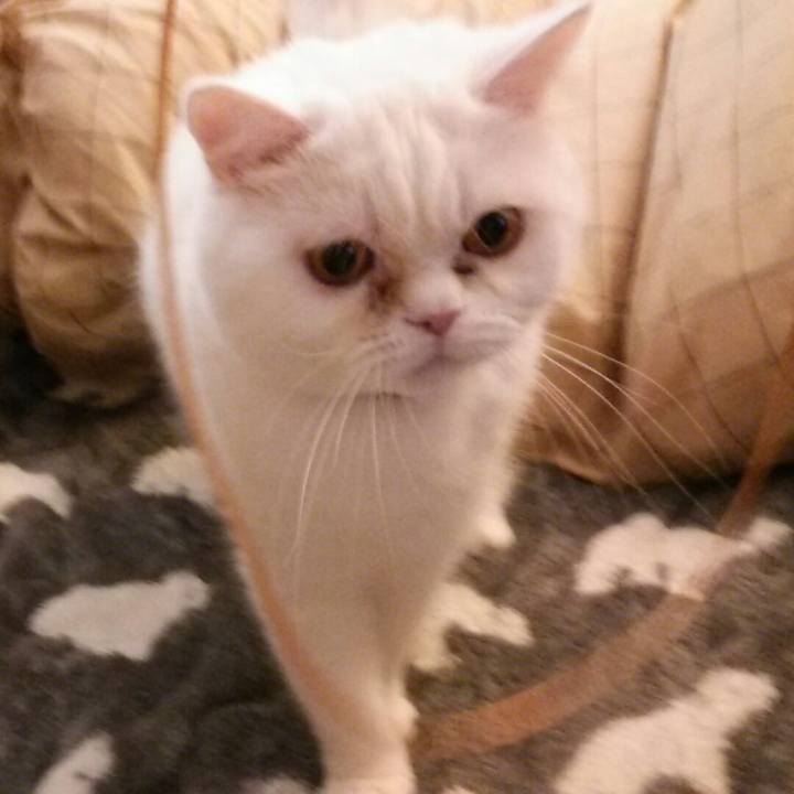 1aafffbc 0d21 428c 96b5 ab6f77b6e23f 1519295966699