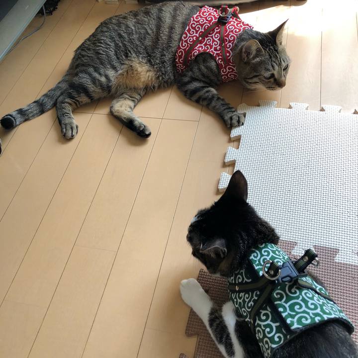 1ab00adf 3e9d 4152 953f ca77d57c78fe 1525075027804