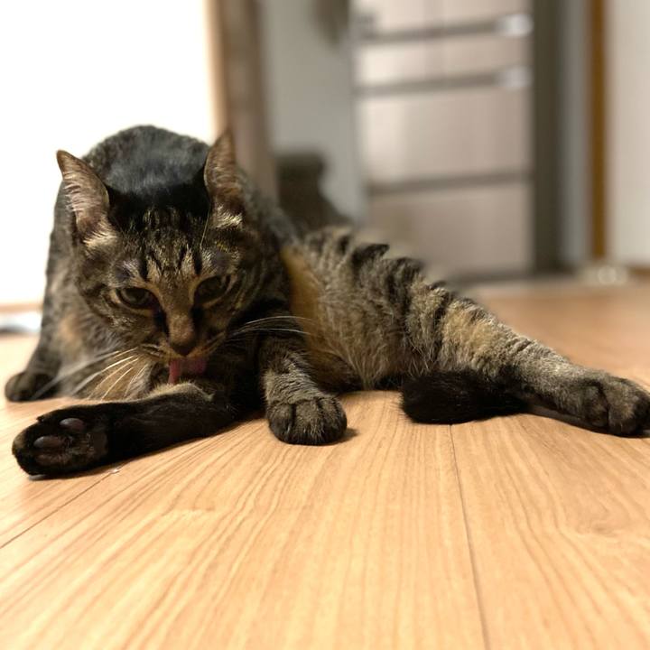 1ab00e34 f013 475f ab43 428da7927fe8 1692875827551