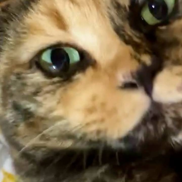 1ab01fc2 be2e 4e28 b44f 2e911ab918f5 1729050459122