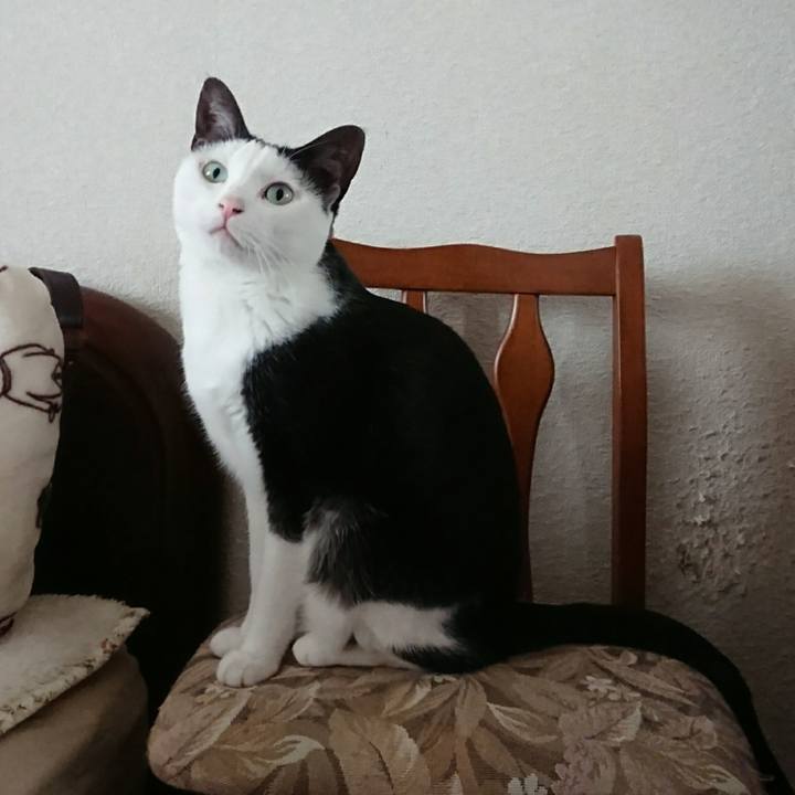 1ab051d4 f193 4e0a a100 f4fb7d35f647 1511681539700