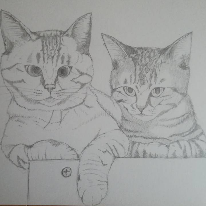 1ab0721d 5874 48d8 bb26 27da76296393 1521702367013