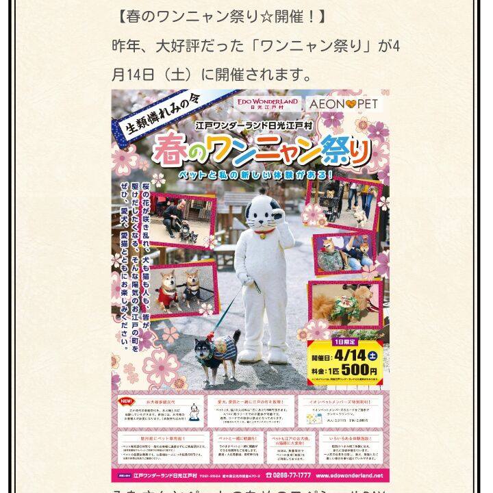 1ab0c1e7 7165 47a1 a003 b177ec621764 1522730924860