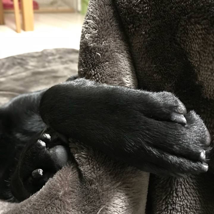 1ab0cabd 47bd 4582 9e38 222f34e8a8f0 1522239616719