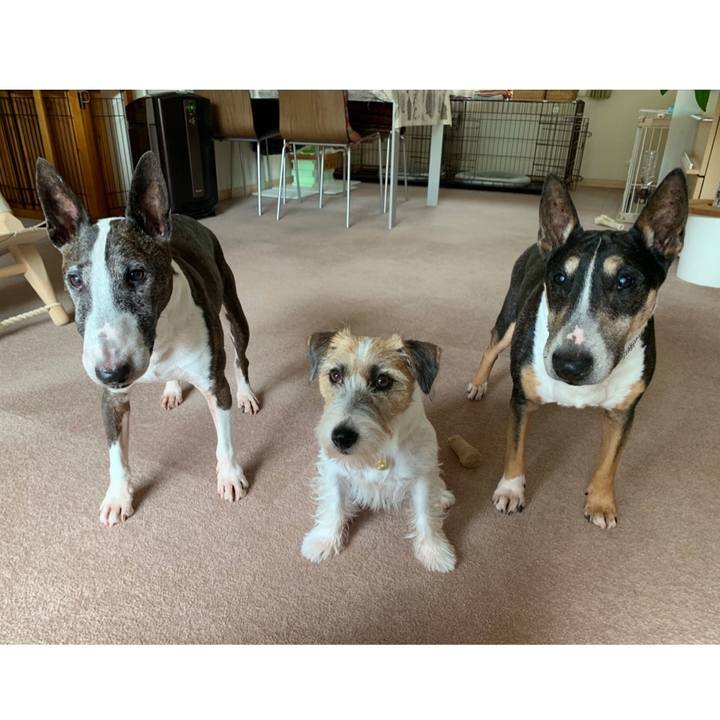 1ab0e8fd 25c2 41fc b23f a1b850ec5b46 1600231945539