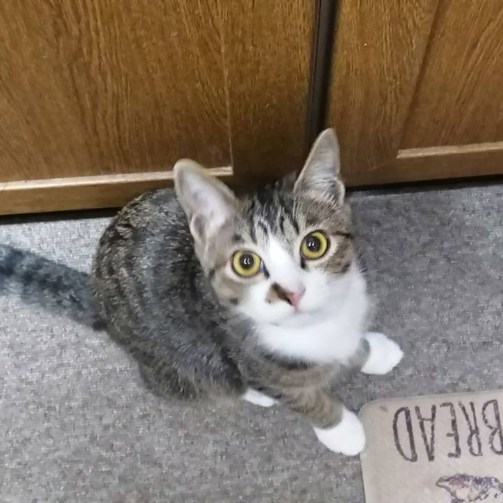 1ab12b18 ad1d 4b78 be5e ef0a120db35c 1668428694336