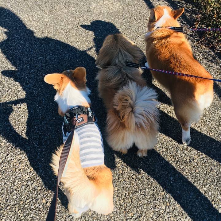 1ab12f47 1ef6 4b38 a580 6624a1768185 1574995915268