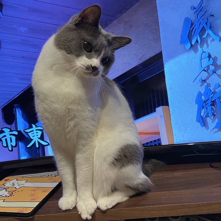 1ab1885d 5949 4166 abec 5e5aad10a0eb 1660396323808