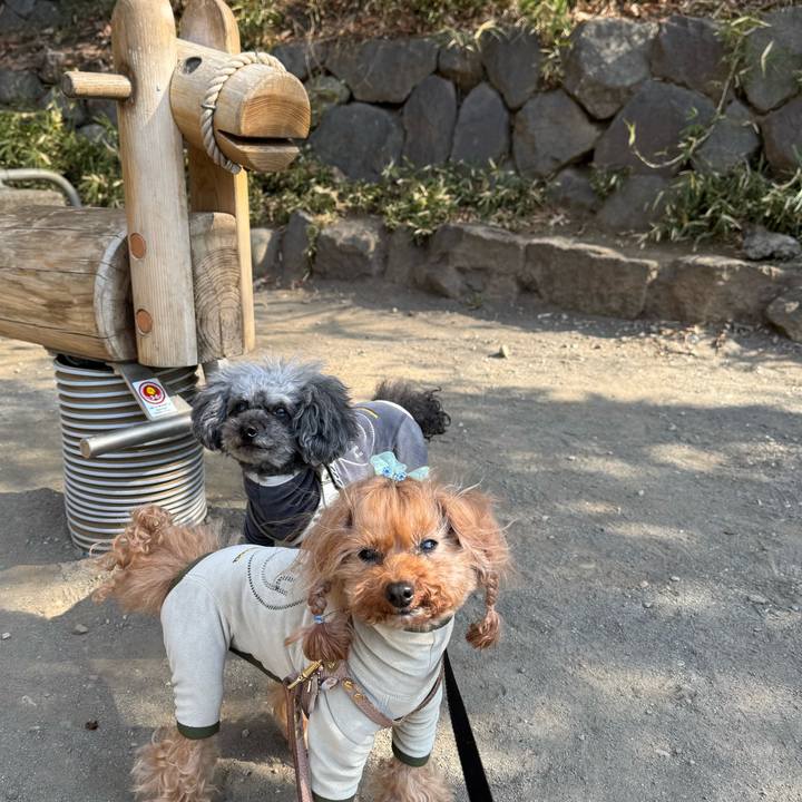 1ab1937b cde5 425d 8607 774ed9eb8803 1740006760939