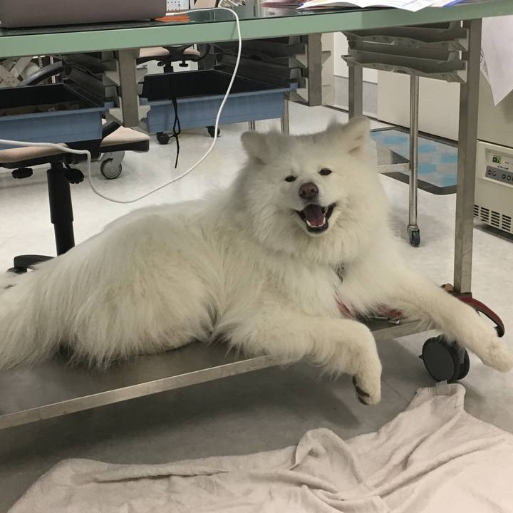 1ab1c77b 16f3 4ab1 ab55 abce507c3979 1528713232193