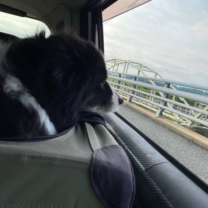 1ab1c933 ba93 45c7 8176 88bbce385005 1688421775332