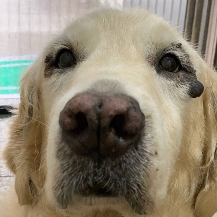 1ab1d8cf a7e5 41ab 8dbe 1c87604673fb 1604094466944