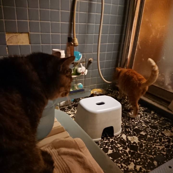 1ab1f1e8 a57e 4246 b192 de034eb31a35 1574672989012