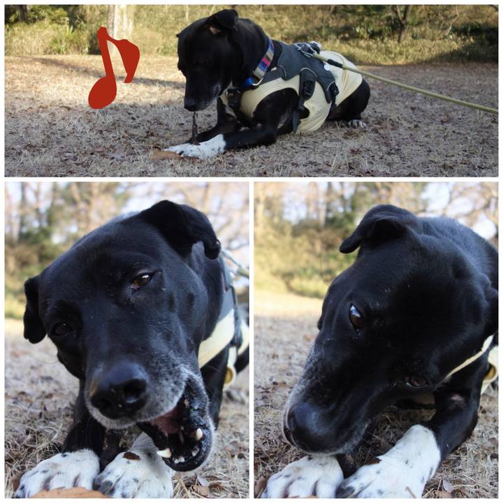 1ab1f423 3935 4a28 ae8b c5db643345ea 1643505003337