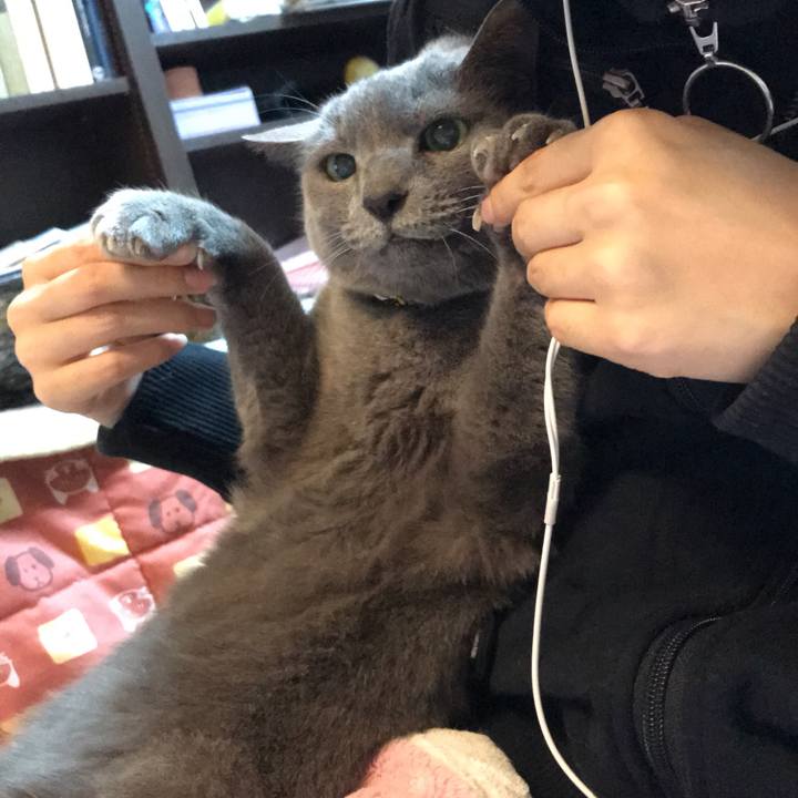 1ab20123 ab77 4eea adfb 7a49c3178fcf 1576941259144