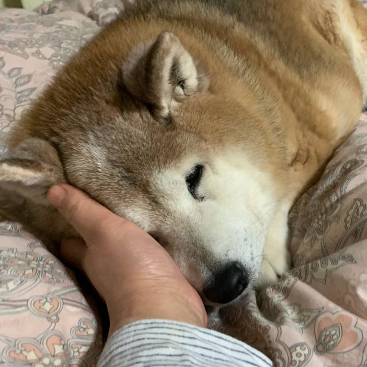 1ab23fb7 7e70 40be a5d2 96546b15703b 1647075030801