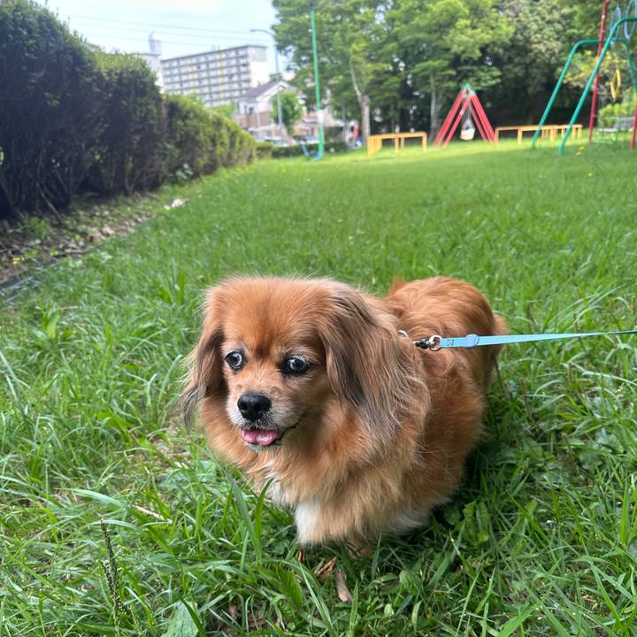 1ab24db9 a7d1 4392 9e9e 9edb8edfdf4e 1750550831935