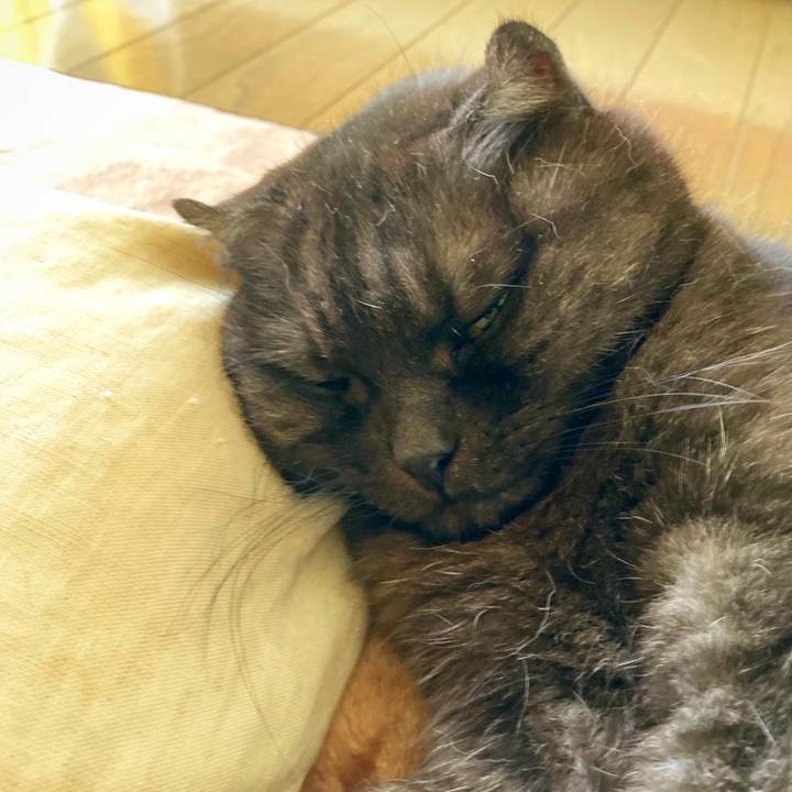 1ab253cf 29ea 41bb be0b 8ccb38265bf7 1627715597308