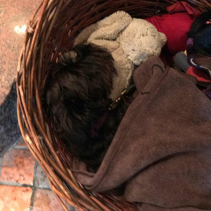 1ab2b764 2140 4199 a5a6 e2e8832e0b79 1508391966894