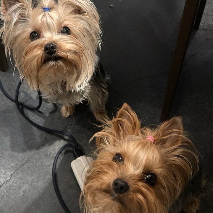 1ab2f097 6664 4421 8bd1 bf609d3c97c3 1772280962000