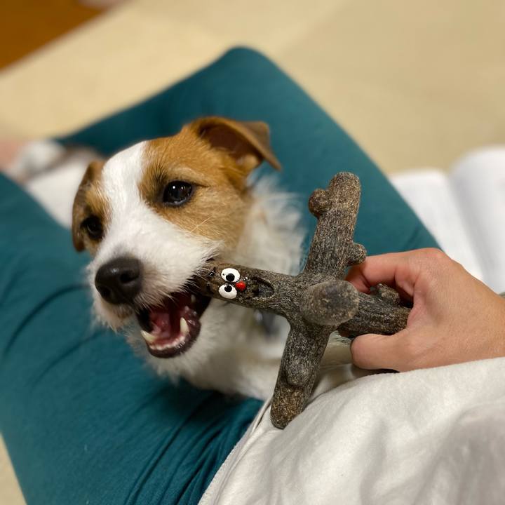 1ab365bc 7e67 4d1d be1c d07aaeeef76a 1664462888702