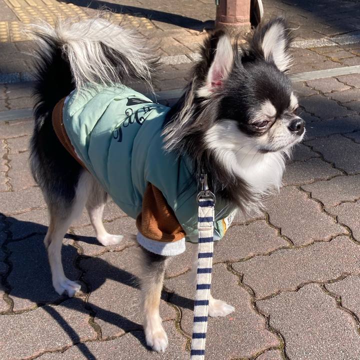 1ab36be5 634c 4c56 bc05 bf8eeb104b0d 1612069462986