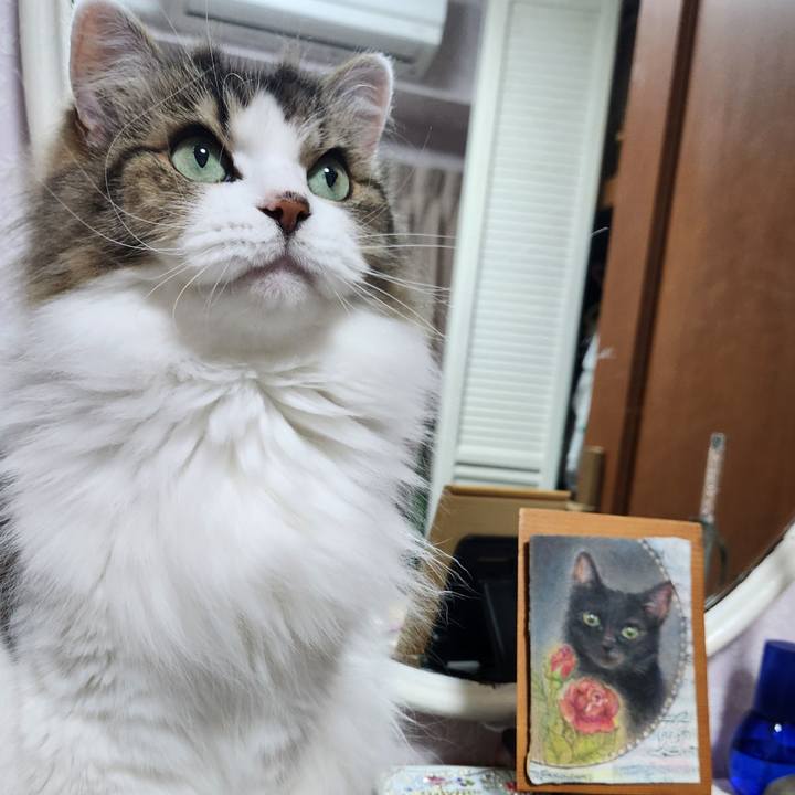 1ab386c4 164d 404b a412 54ac9a6dba92 1754648039768