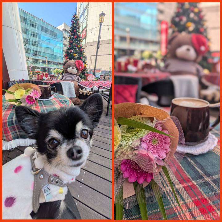 1ab3d3e5 1d8f 4d06 987e 97427b96f520 1765433100480