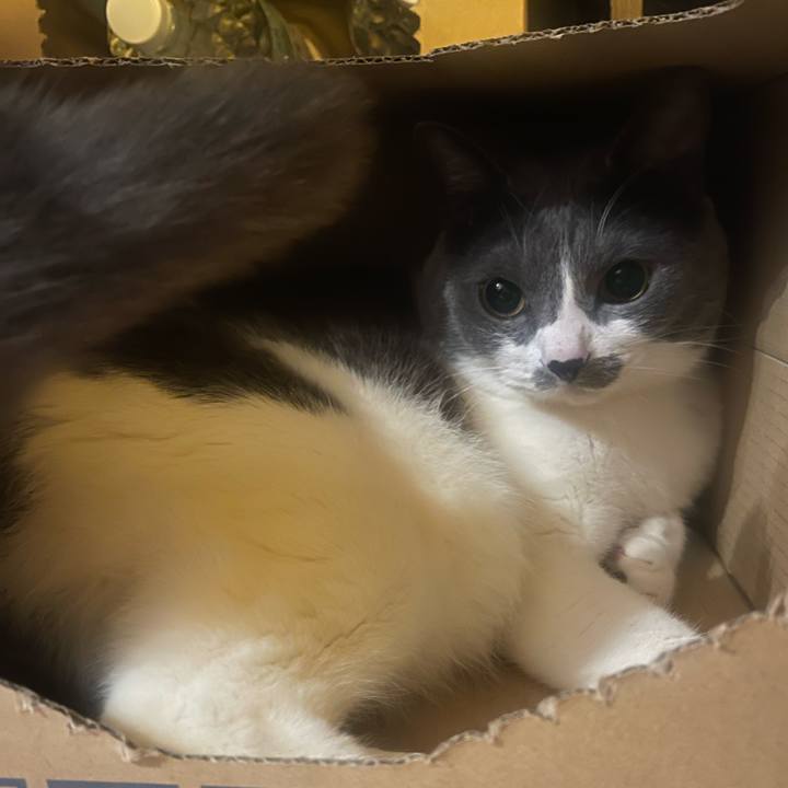 1ab3e4c2 71b9 4b6d a62a 8a79b9dc3548 1744455849527