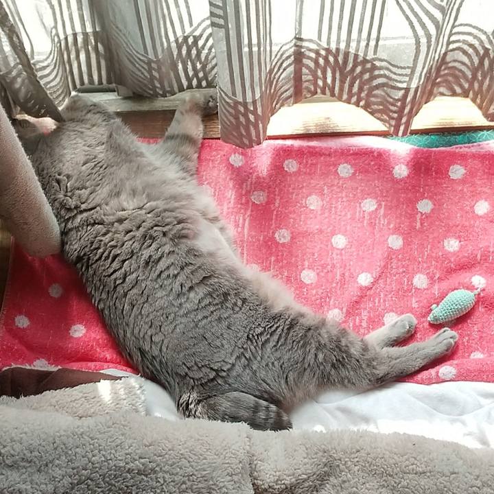 1ab3f189 22d6 417e 9450 2c0df31f6cbc 1681965197041