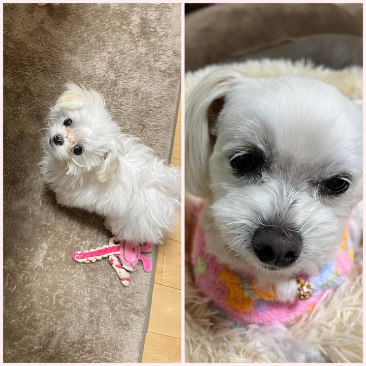 1ab3fde9 ac92 4117 a46f 71321fbd1d76 1704963531234