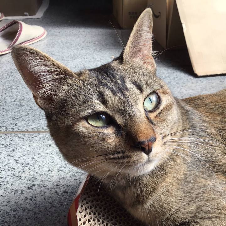 1ab417cc 0074 4fef 9b0e 6fdadc554441 1582083058224