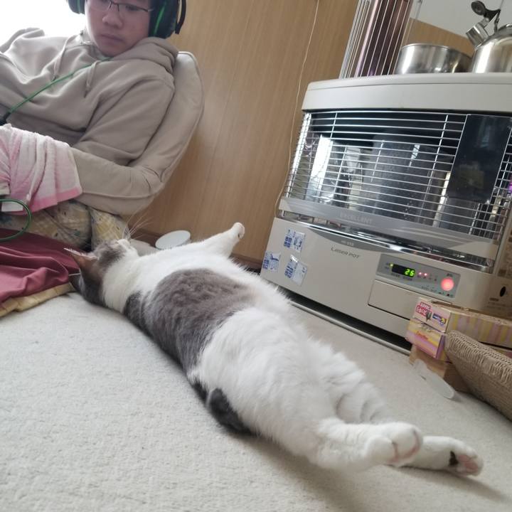 1ab43315 3ae4 442a 880a 7fb15ce5ba83 1645428315593