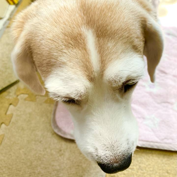 1ab499a0 be70 4e0e b303 57a885ca5357 1617248935950