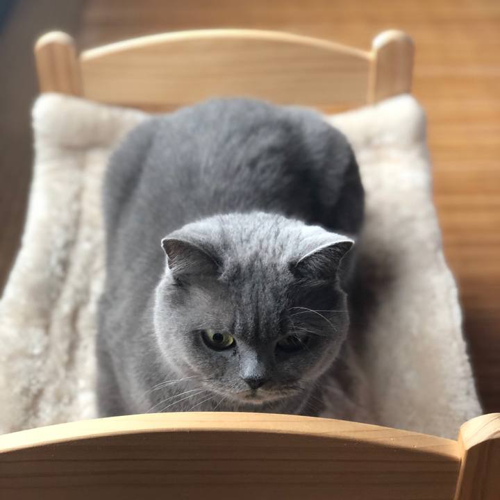 1ab4a4ef d81d 4ced 85b7 e204bf380bc1 1555457709094