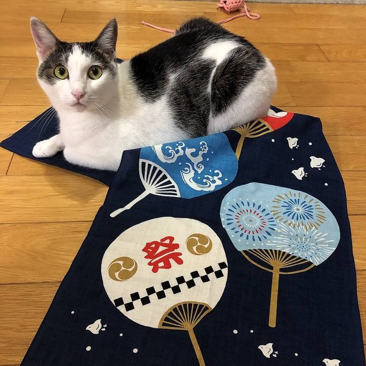 1ab4d75e 8485 4223 a2ce 5f44370fc0b1 1661605664532