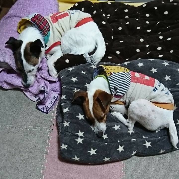 1ab4da8e 6a97 429f 90ef 0f2b4bee0bfd 1555915095198