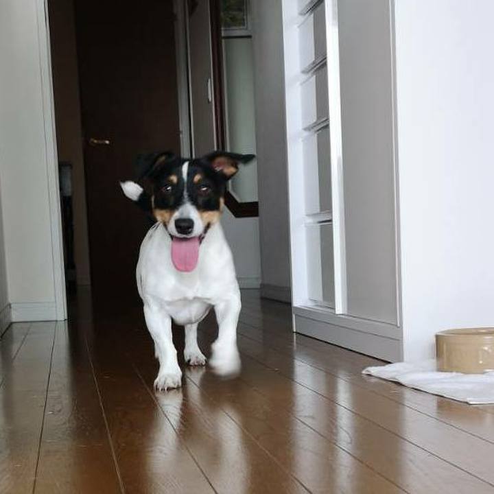 1ab4f80a a0fd 449e b0b9 a9a955e9e4c2 1581943820538