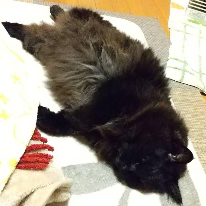 1ab4f9bd cc47 4dea ae45 f220e3b5d27f 1584019785383