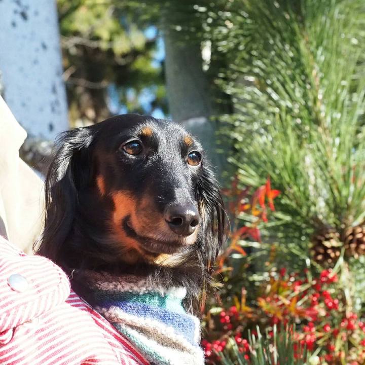 1ab518ae 23cd 4181 9bcb 2367b317a551 1514776738972