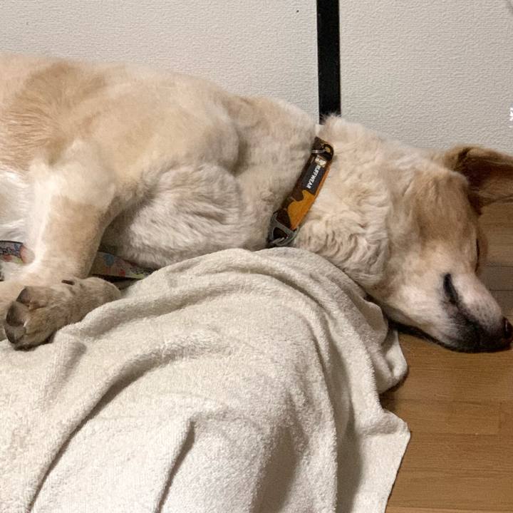 1ab524b5 ffe9 4d5b 9139 c91b0524d7a0 1588428040631