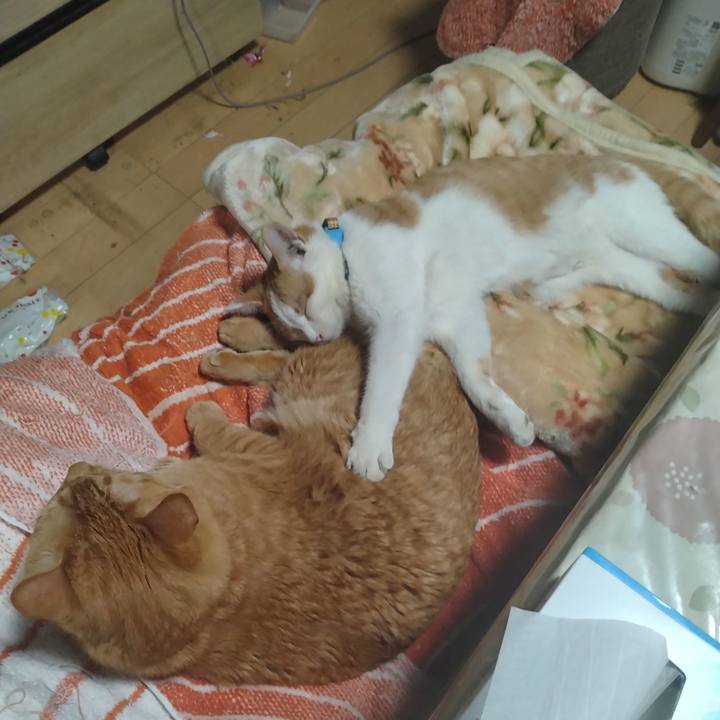 1ab52dce b377 4c09 81fc 3d145c32b087 1739868585071