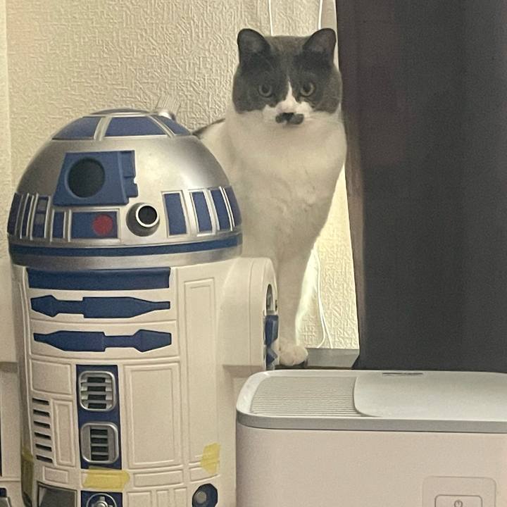 1ab55a71 867c 42d9 8a9c 53e90634d583 1652254092485