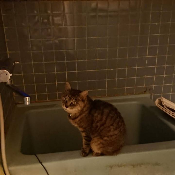 1ab58dac b80e 4180 8a0d 098d0e10f413 1604307882054