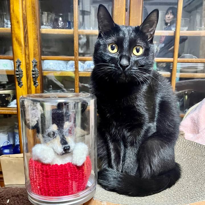 1ab5cdcf d54a 4e0d ae05 6dd49e23a5c7 1681175109632