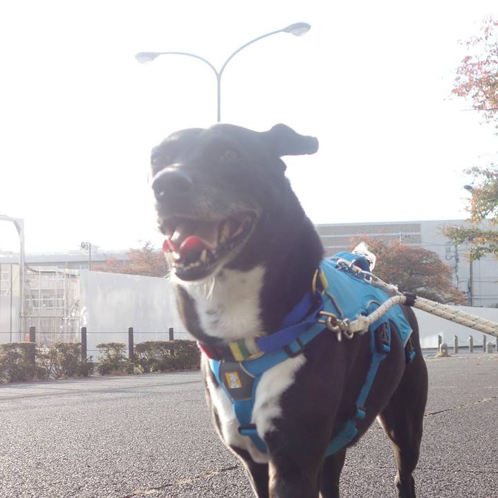 1ab60440 6c52 48ea 9a48 f6f2d586ab7d 1667782879283