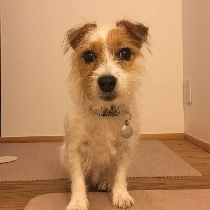 1ab6421c 8848 4ffe af1a a9cae5d41022 1539775736712