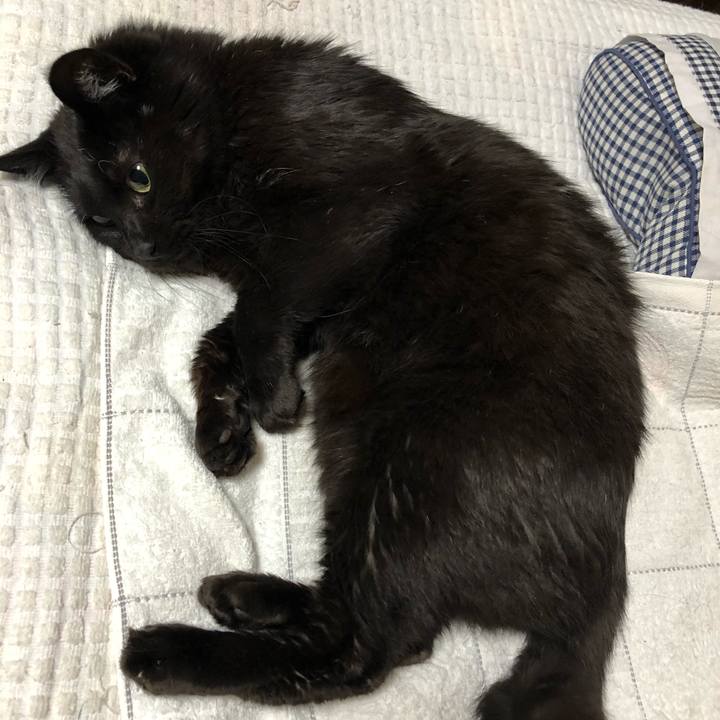 1ab67138 9082 4ce0 8ce4 0ede2dd81432 1593820133994