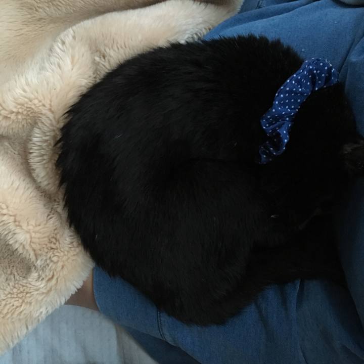 1ab68c73 3e38 40de aeac 5f6153da0f7d 1552252104281